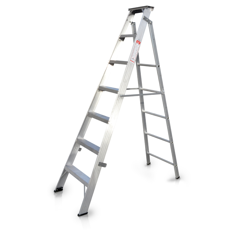 EMC Dual purpose ladder